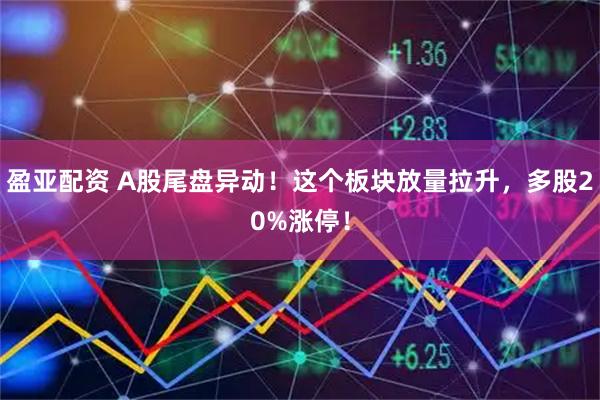 盈亚配资 A股尾盘异动!这个板块放量拉升,多股20%涨停!
