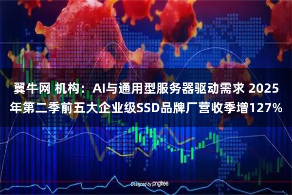 翼牛网 机构：AI与通用型服务器驱动需求 2025年第二季前五大企业级SSD品牌厂营收季增127%